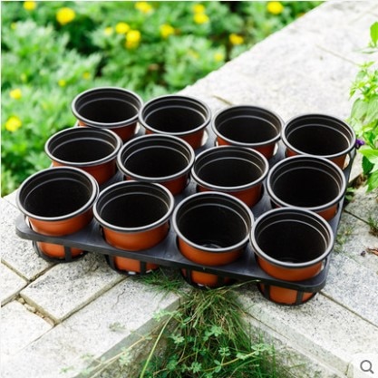 Set of 100 Plastic Pot for Plants