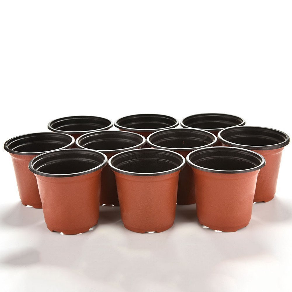 Set of 100 Plastic Pot for Plants