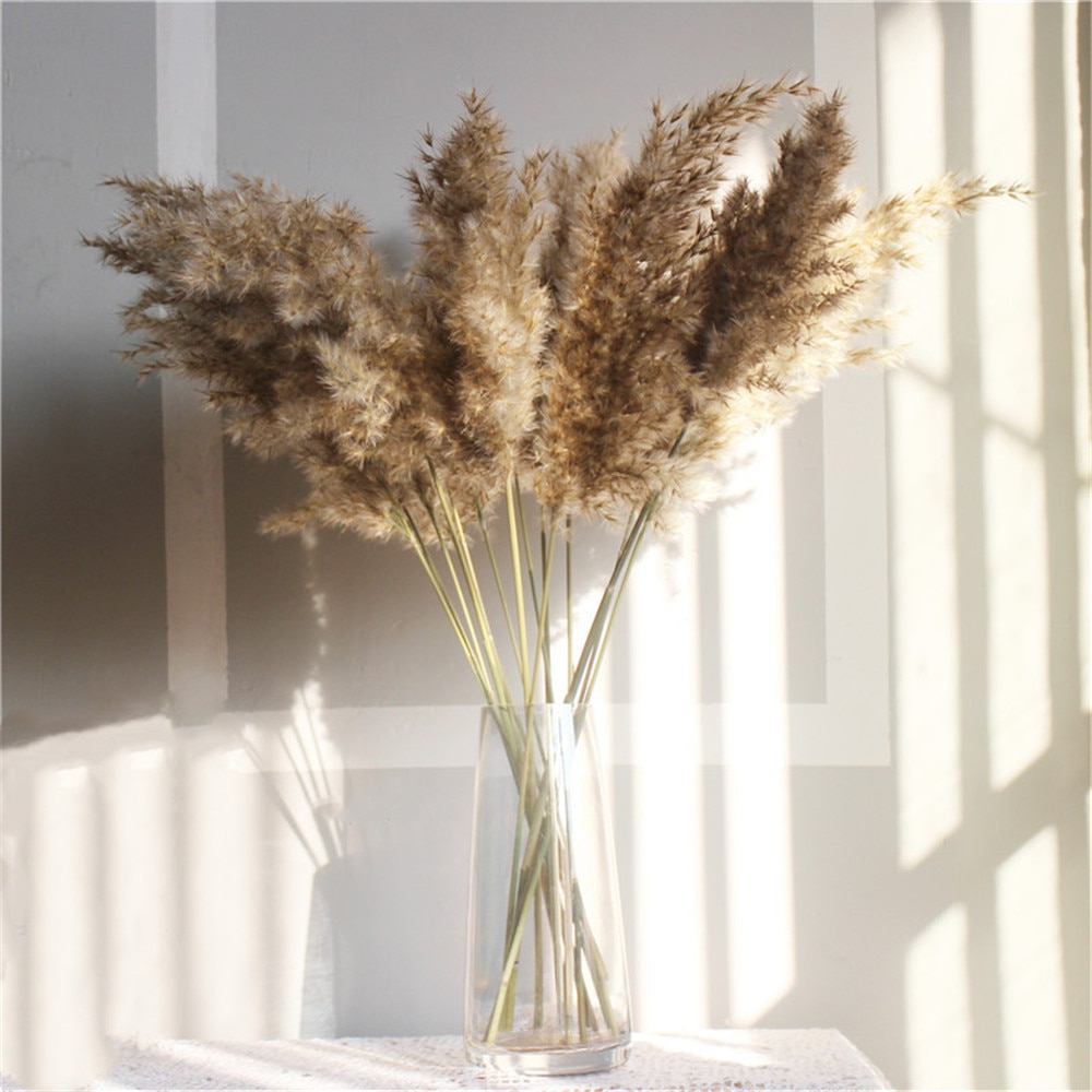 Set of Natural Dried Pampas Grass Bunches Set of Natural Dried Pampas Grass Bunches